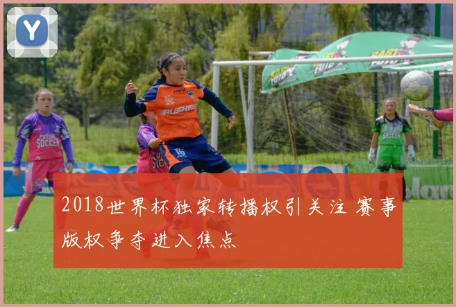 2018世界杯独家转播权引关注 赛事版权争夺进入焦点