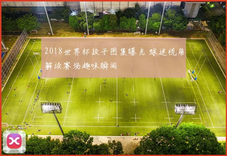 2018世界杯段子图集曝光 球迷视角解读赛场趣味瞬间