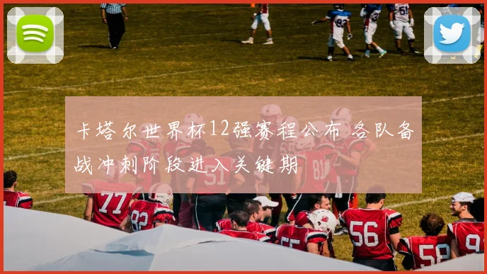 卡塔尔世界杯12强赛程公布 各队备战冲刺阶段进入关键期