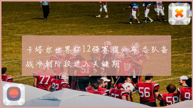 卡塔尔世界杯12强赛程公布 各队备战冲刺阶段进入关键期